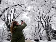 Calgary's Weekend in Focus: Outdoor Rinks, Flames Action & Winter's Frosty Grip