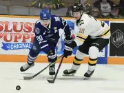 Canucks Prospect Gabriel Chiarot: From Sixth-Round Pick to OHL Trade Target