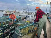 China's Tariff Relief Brings Brief Respite to Canadian Lobster Industry Amid Ongoing Challenges
