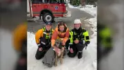Dog Rescued from Thin Ice on Alta Lake in Whistler