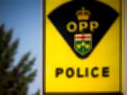 Fatal Head-On Collision on Highway 17 Claims Lives of Ottawa and Renfrew Drivers
