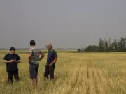 Federal and Saskatchewan Governments Invest $8.4M in Livestock Research