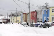 First Major Winter Storm of 2026 Paralyzes St. John's, Dumps 20 cm of Snow
