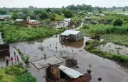 Flooding in Mozambique Forces Crocodiles into Towns, Sparking Health Crisis