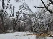 Freezing Rain Alert Hits Barrie as Snowfall Warning Ends: Environment Canada