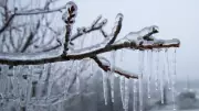 Freezing Rain and Icy Conditions Forecast for Ontario Tuesday Commute