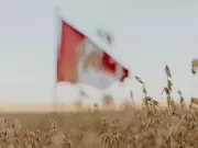 Granola Bar Decline Signals Health Trends, Price Pressures, and Farmer Challenges