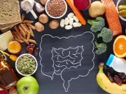 Gut Health Revolution: How Fruits and Vegetables Build a Healthy Microbiome
