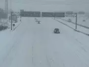Historic GTA Snowstorm Causes 200 Crashes, 150 Stuck Vehicles