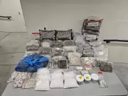 Kitchener Drug Bust: Police Seize Firearm, Drugs, and Cash in Late 2025 Raid