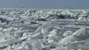 Lake Erie Ice Surges Amid Bitter Cold and Unusually Low Water Levels in Windsor-Essex