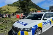 Landslide Emergency in New Zealand: Rescue Operations at Campground and Home
