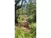 Leviathan Metals Reports High-Grade Zinc, Lead & Silver in Bosnia Trenching