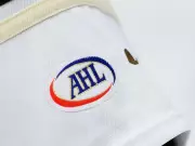 Mini Hockey Brawl Goes Viral: Mite Teams Fight During Hershey Bears Intermission