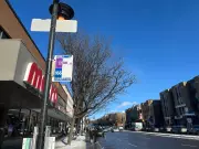 Montreal Man Awarded $2,000 After Bus Driver Fails to Stop for Pickup