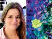 Montreal Microbiologist's Microscopic Art Attracts 1M Instagram Followers