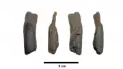 Oldest Wooden Tools Discovered in Greece Date Back 430,000 Years
