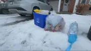 Ontario's New Private Recycler Halts Extra Bag Pickup, Policy Under Review