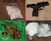 OPP Seize $24K in Drugs, Guns, and Cash in Milton Home Raid