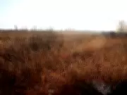 Ottawa Finalizes $95M Landfill Acquisition Near Carlsbad Springs Amid Resident Concerns