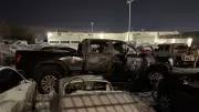 Peel Police Investigate Arson in Brampton Vehicle Fire