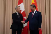 PM Carney Arrives in Beijing for Crucial Meeting with President Xi