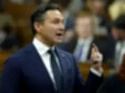 Poilievre Faces Dual Challenges: Party Review and Polling Gap as Carney Surges