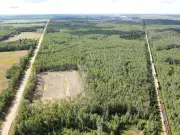 PowerWood Canada Invests $1.1M in Alberta Land for Biofuel Rail Spur
