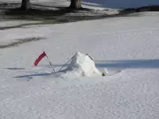 Record-Breaking Warmth Hits Alberta, Smashing January Temperature Records