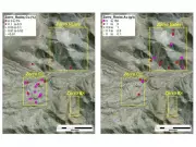 Sable Resources Reports High-Grade Copper, Gold, and Silver Samples at Zorro Project in Argentina