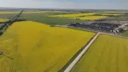 Saskatchewan Premier Sees Canola Growth Beyond China, U.S. Amid Trade Tensions