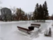 Saskatoon's Weekend Arts Guide: Five Must-See Events from Jan. 30 to Feb. 1