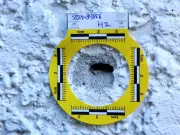 Surrey Extortion Wave Continues: Cloverdale Business Shot Overnight