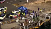 Three Shark Attacks in 26 Hours Leave Two Critical in Sydney Harbour
