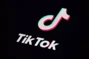 TikTok Users Report Blocking of Anti-ICE Content, Company Cites Technical Glitches