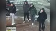 Toronto Police Seek 4 Suspects in Violent New Year's Day Assault Near Scarborough Mall