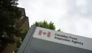Union Warns of Major Job Cuts at Canadian Food Inspection Agency