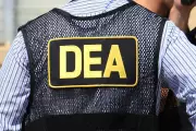 U.S. DEA Agents Survey Coca Fields in Bolivia, Deputy Minister Confirms