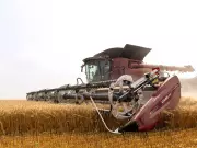 U.S. Grain Futures Slide as South American Harvests Pressure Prices