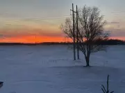 Windsor Braces for More Snow and Frigid Temperatures in Latest Forecast