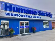 Windsor-Essex Humane Society Finds Homes for Nearly 2,600 Animals in 2025