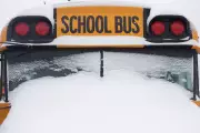 Windsor-Essex School Buses Cancelled Amid Persistent Frigid Temperatures