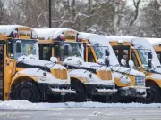 Windsor-Essex School Buses Cancelled Due to Extreme Cold Weather Conditions