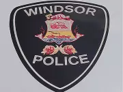 Windsor Police K9 Rolex Nabs Suspect with Chainsaw, Drugs in School Break-In