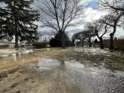 Windsor's Matthew House Faces Urgent $2M Repair After Watermain Break