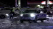 Woman in Her 50s Dies After Assault at Mississauga Shopping Plaza