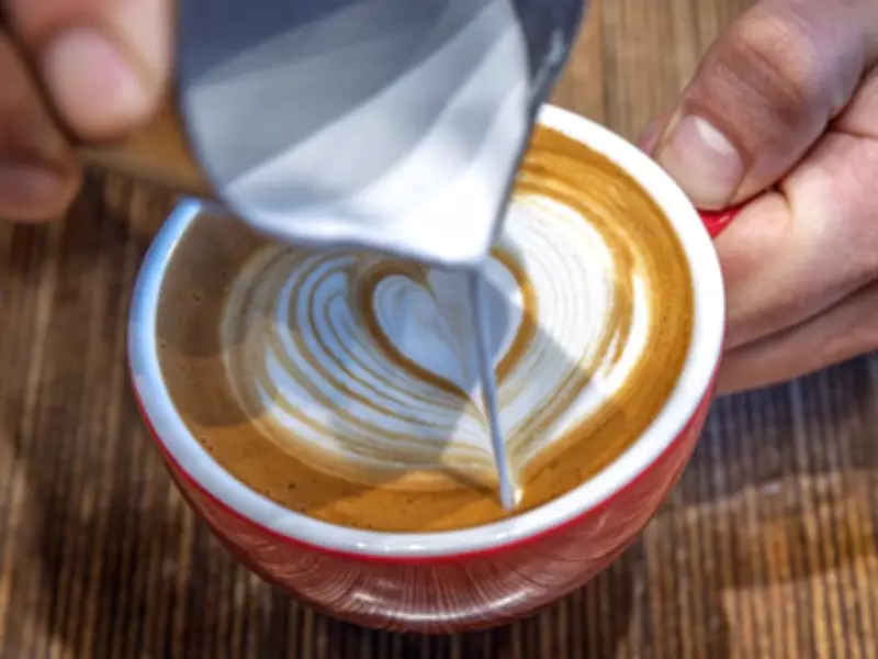 9 Engaging Valentine's Day Activities in Montreal for All Relationship Statuses