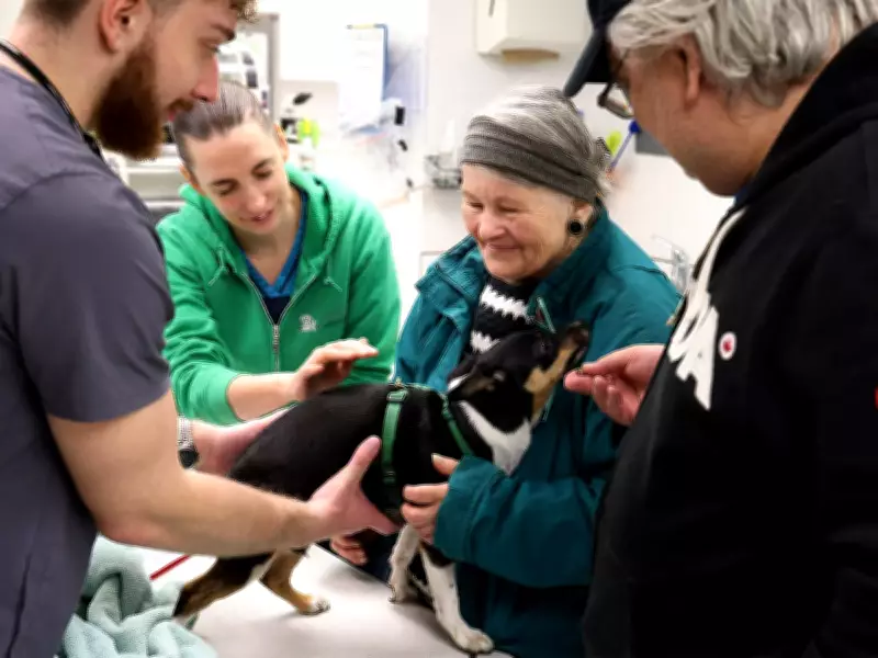 AARCS Provides Free Veterinary Care to Keep Seniors and Pets Together