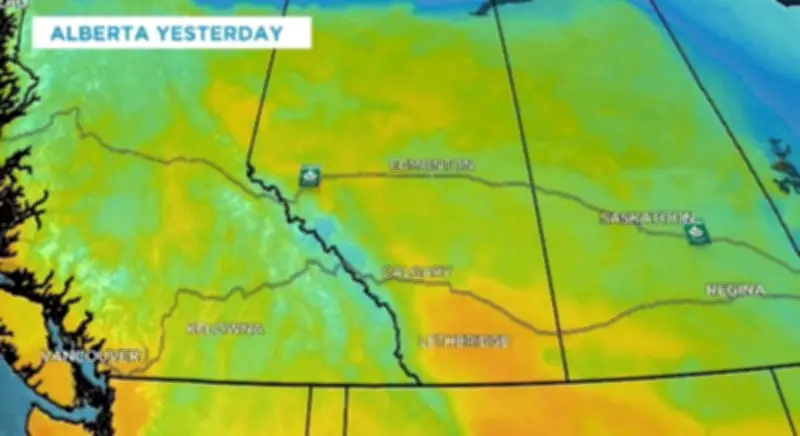 Alberta Shatters Over 20 Daytime High Temperature Records in Unseasonable February Warmth