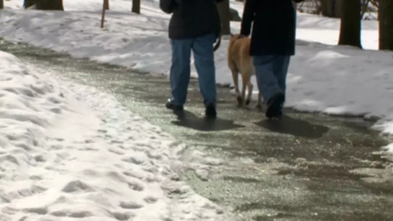 Alberta Shatters Over 20 Temperature Records Amid Unseasonable February Warmth